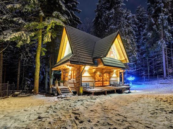 Chata Pod Nosalem - Domek Z Jacuzzi Z Bala W Zakopanym Zakopane Exterior foto